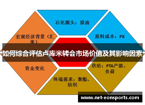 如何综合评估卢库米转会市场价值及其影响因素